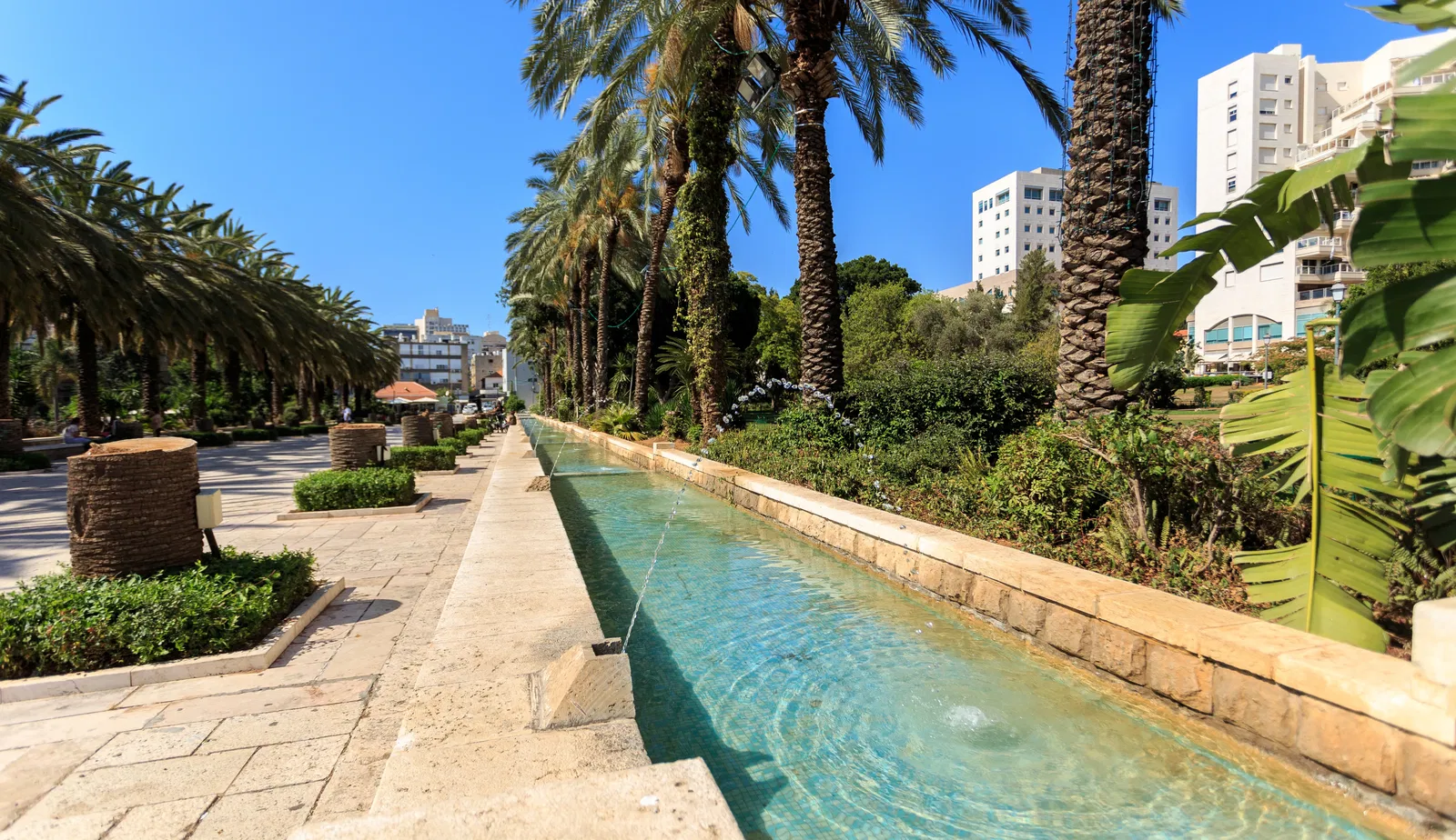 A photograph of a park in Rishon LeZion.